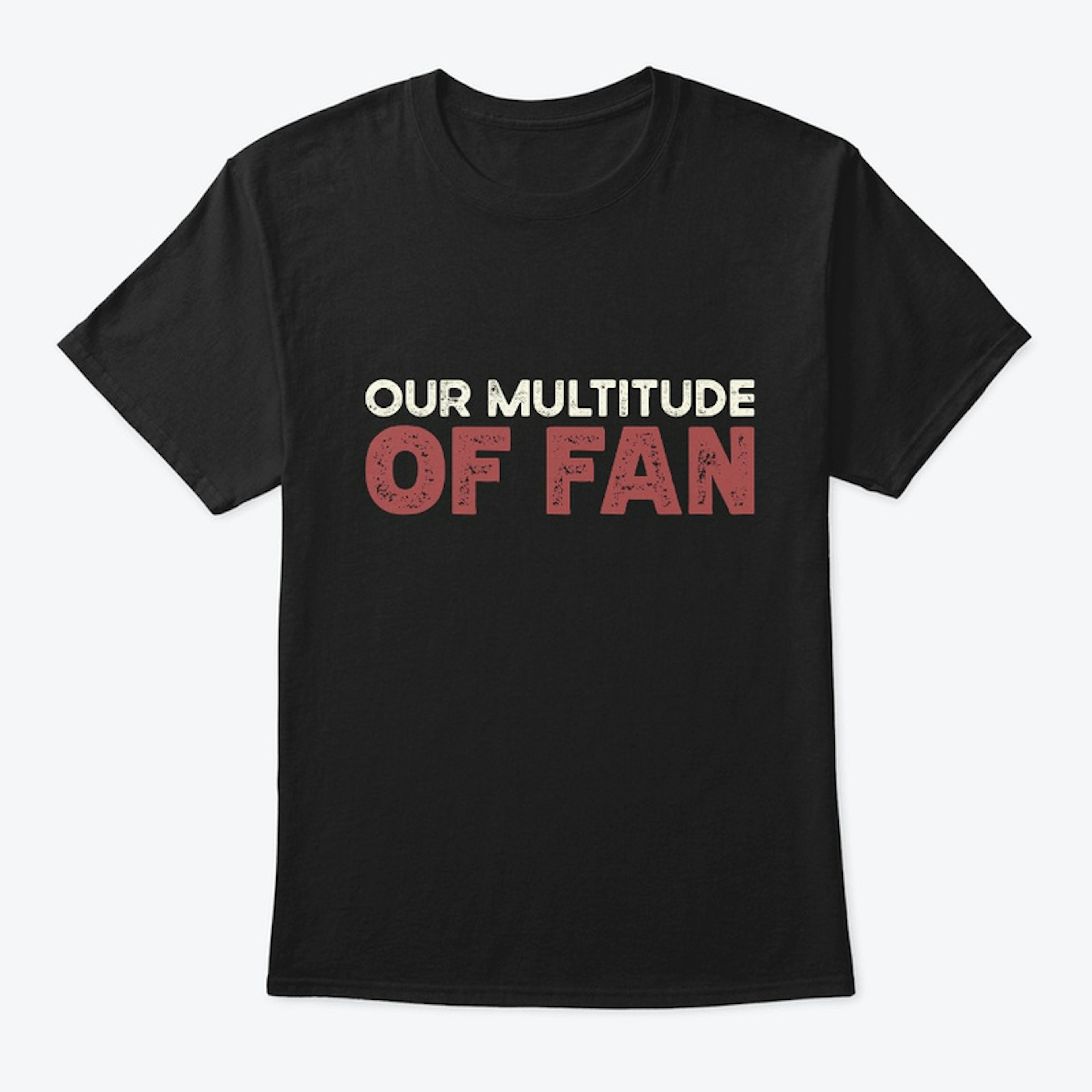 Our Multitude of Fan Collection!