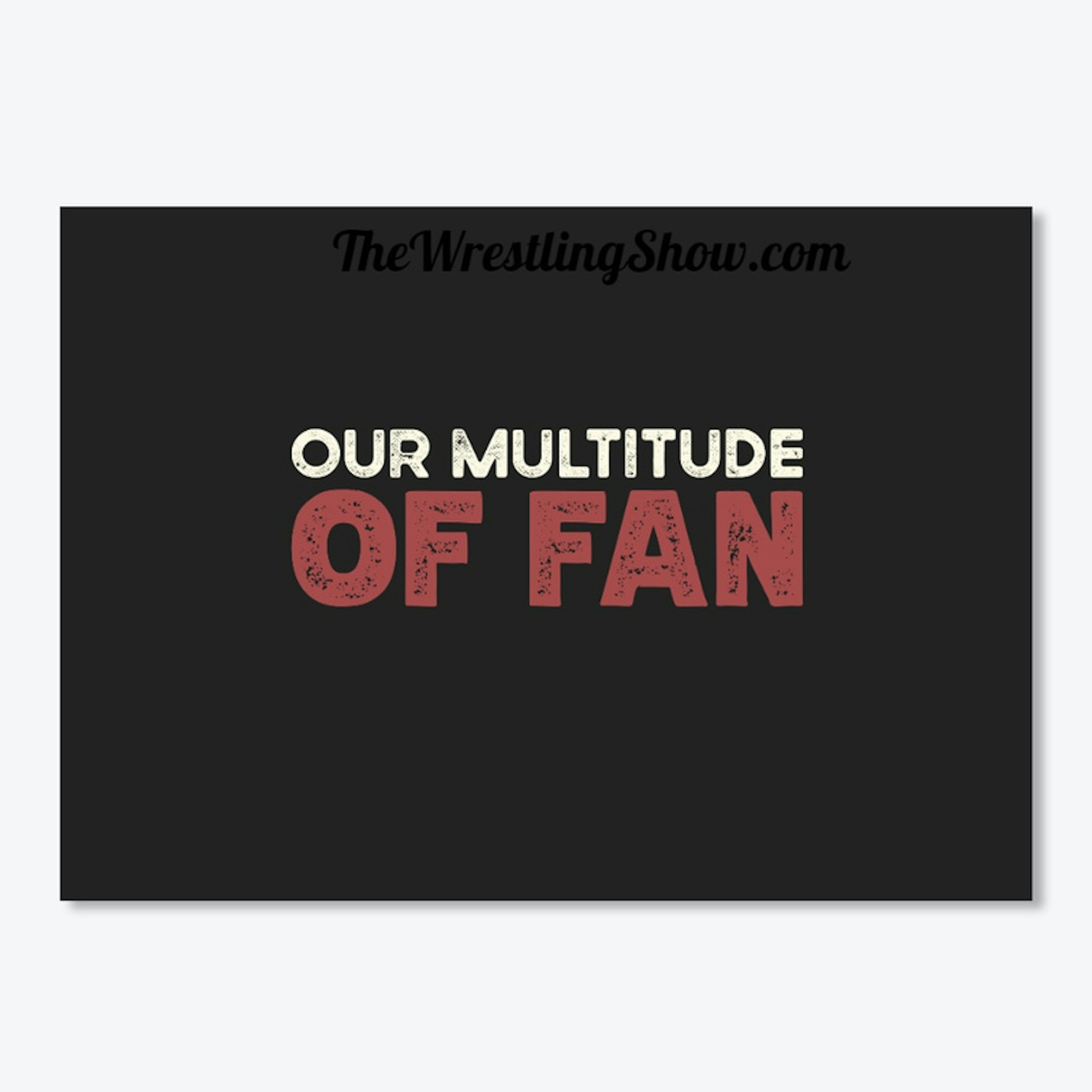 Our Multitude of Fan Collection!